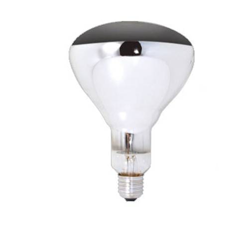 Infiniti 250W Globe Screw In