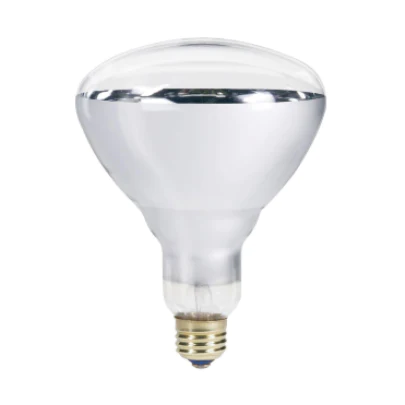 Heated Globe Screw-In